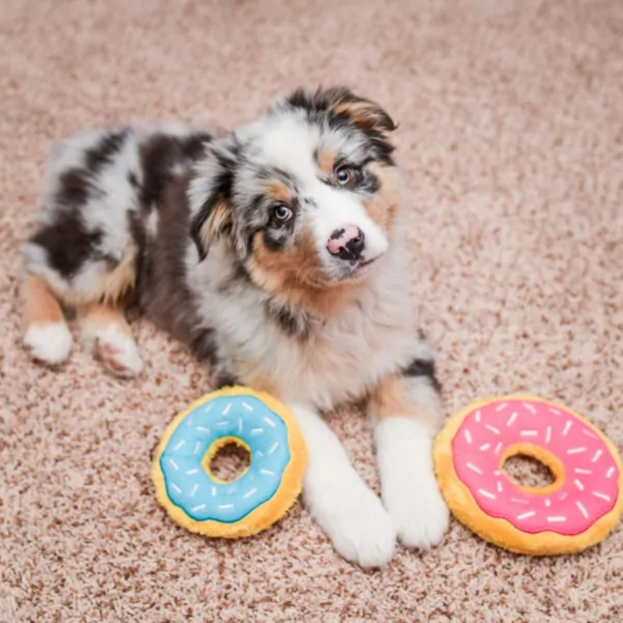 Zippy Paws Dog Toys Plush Donutz Junior | PeekAPaw Pet Supplies
