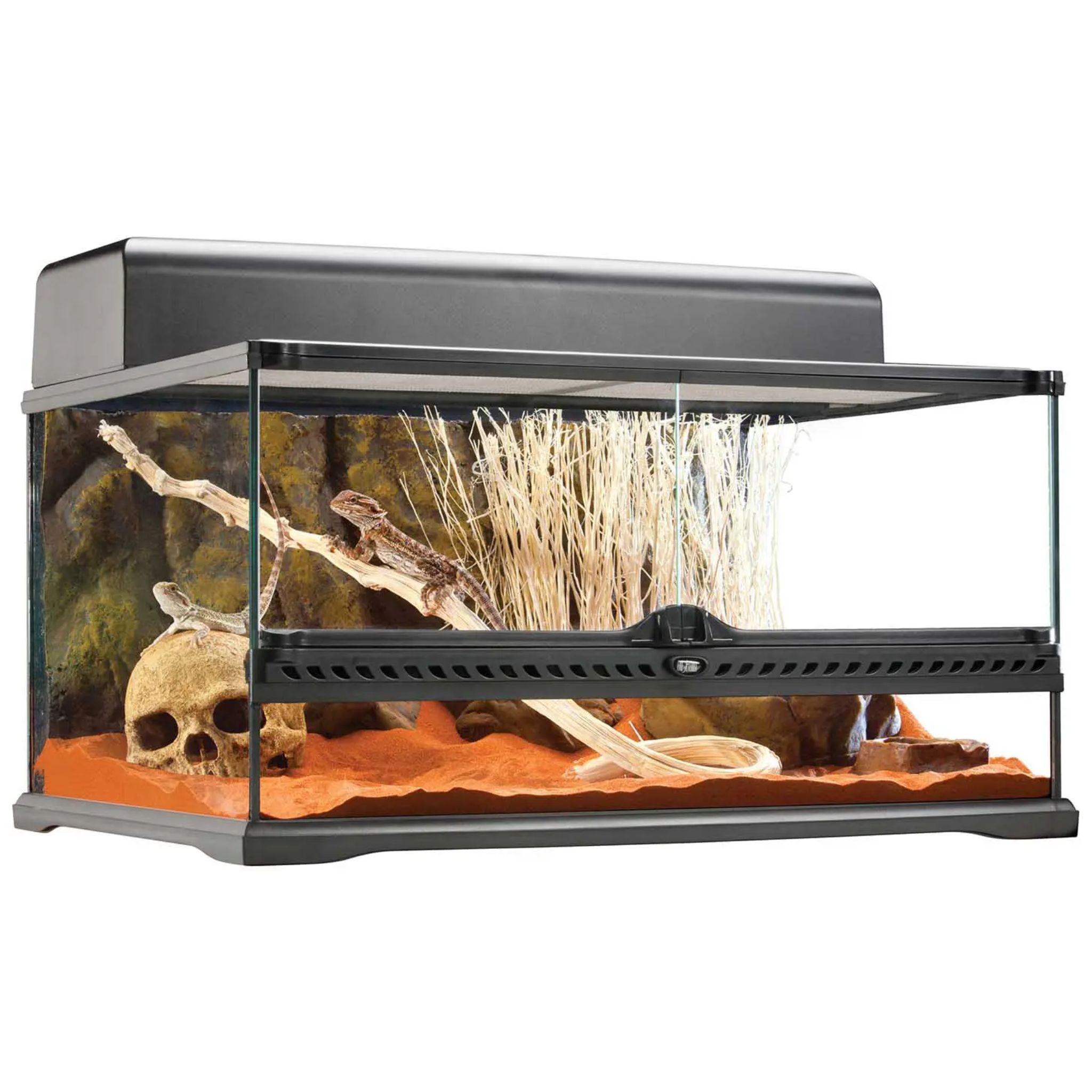 Exo Terra Natural Terrariums