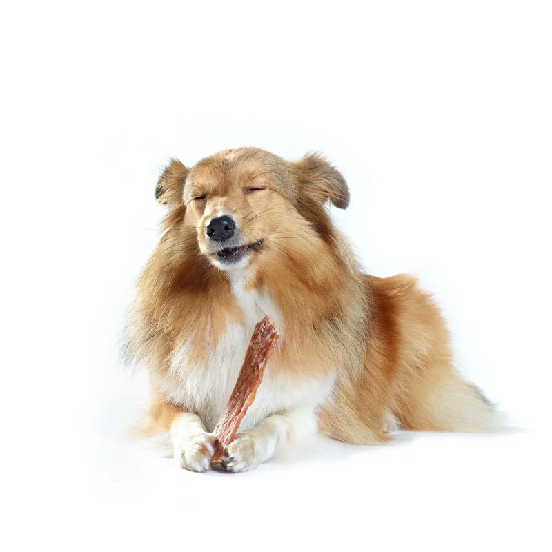Whimzees Dental Dog Treats Veggie Strip | PeekAPaw Pet Supplies