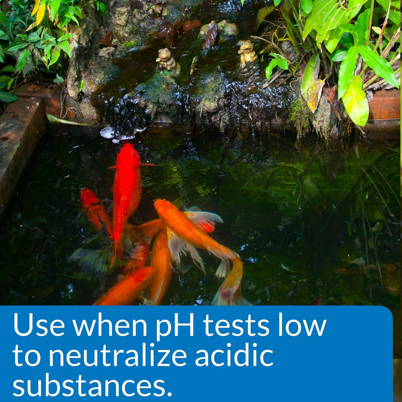 API Pond Care Ph Up Water Treatment