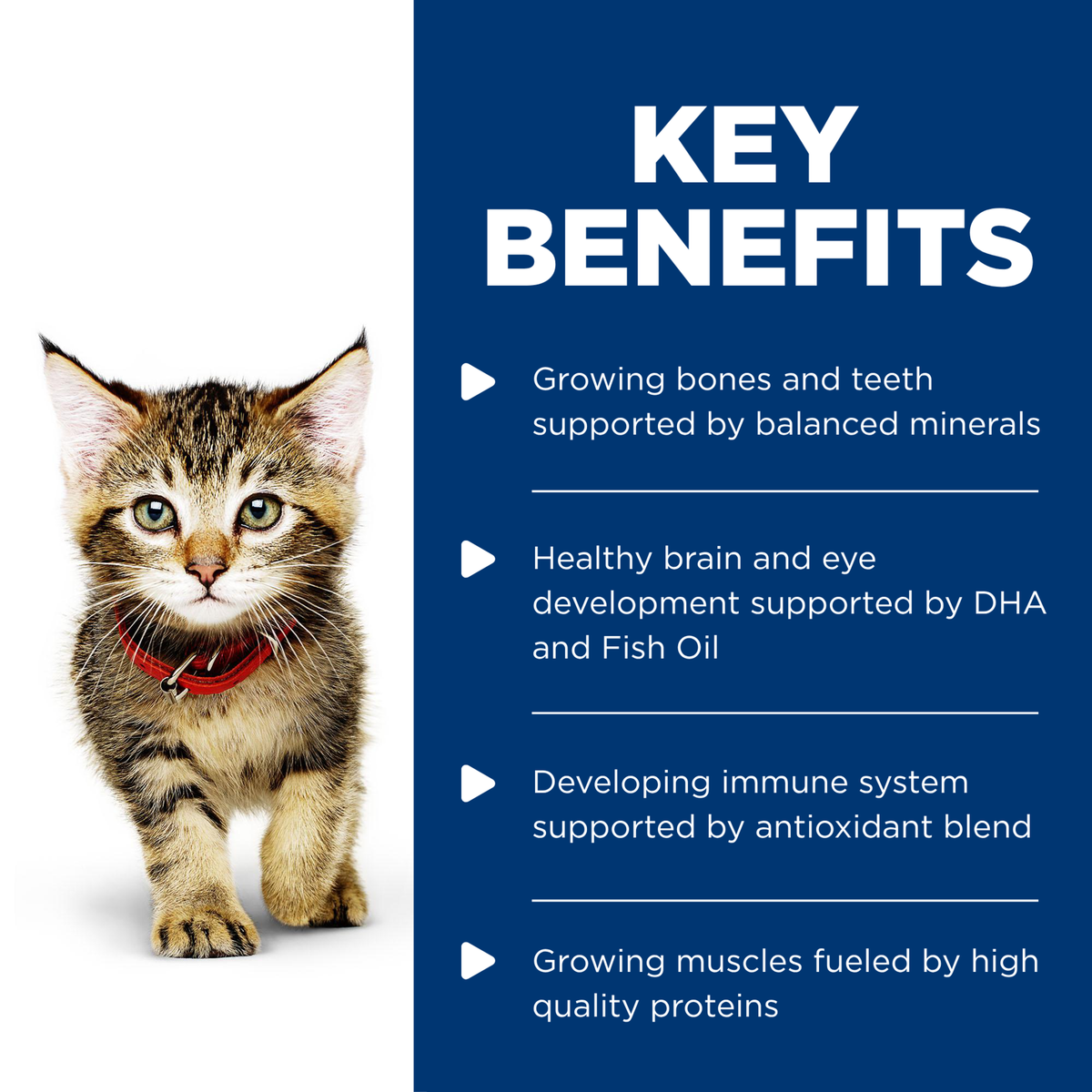 Key benefits panel for Hill's kitten pouches: minerals, DHA and fish oil, antioxidants and protein