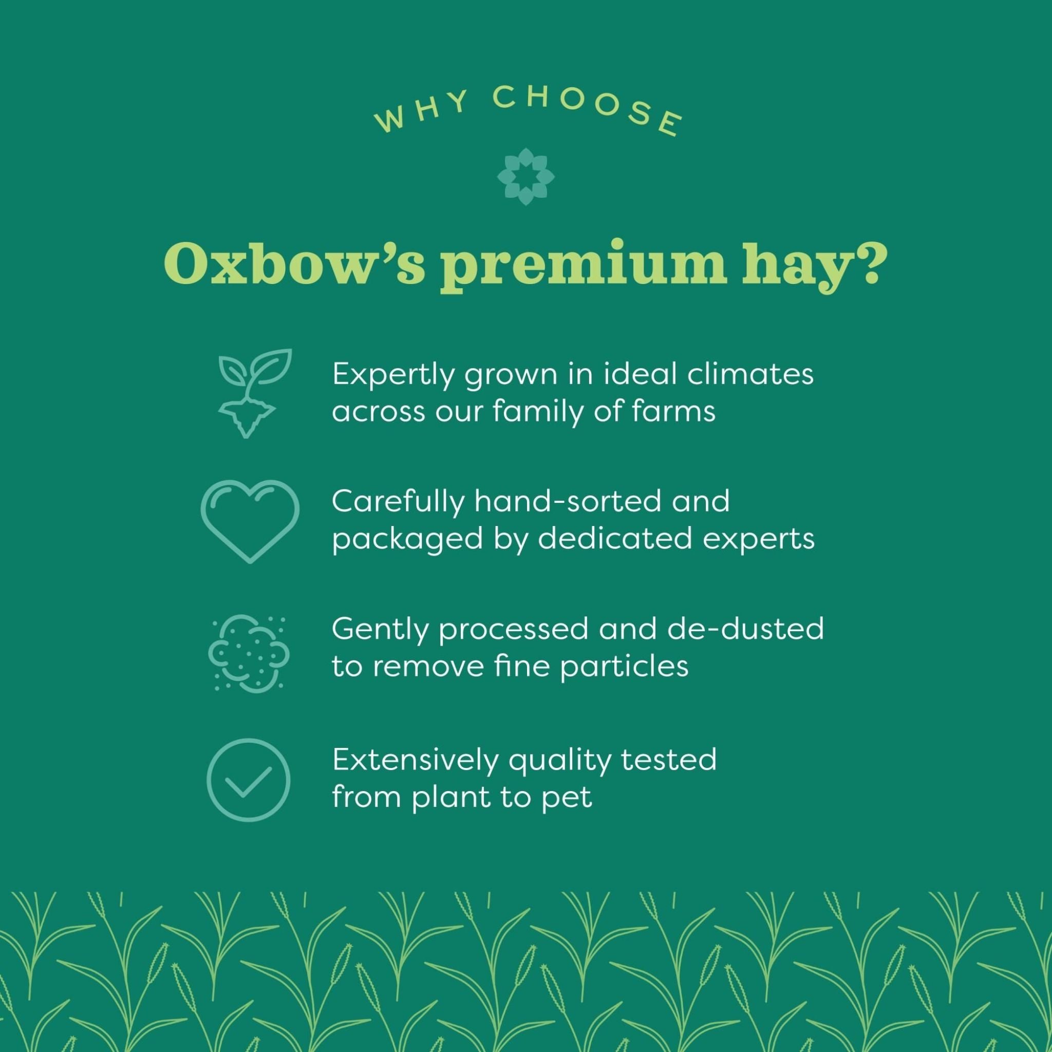 Oxbow Orchard Grass Hay