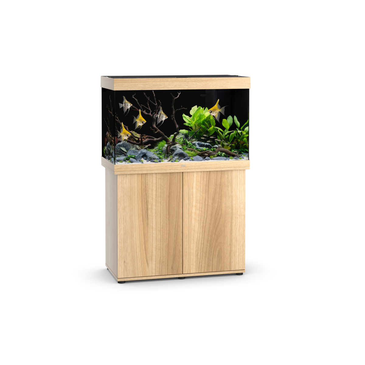 Juwel Rio 290 LED aquarium in light wood on its SBX cabinet