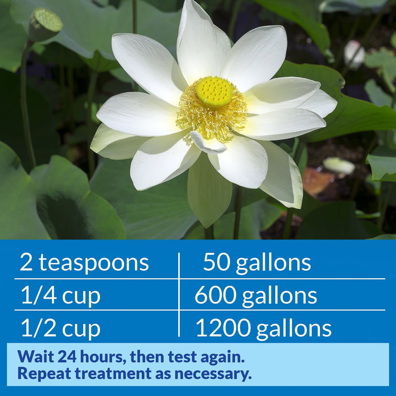 API Pond Care Ph Up Water Treatment