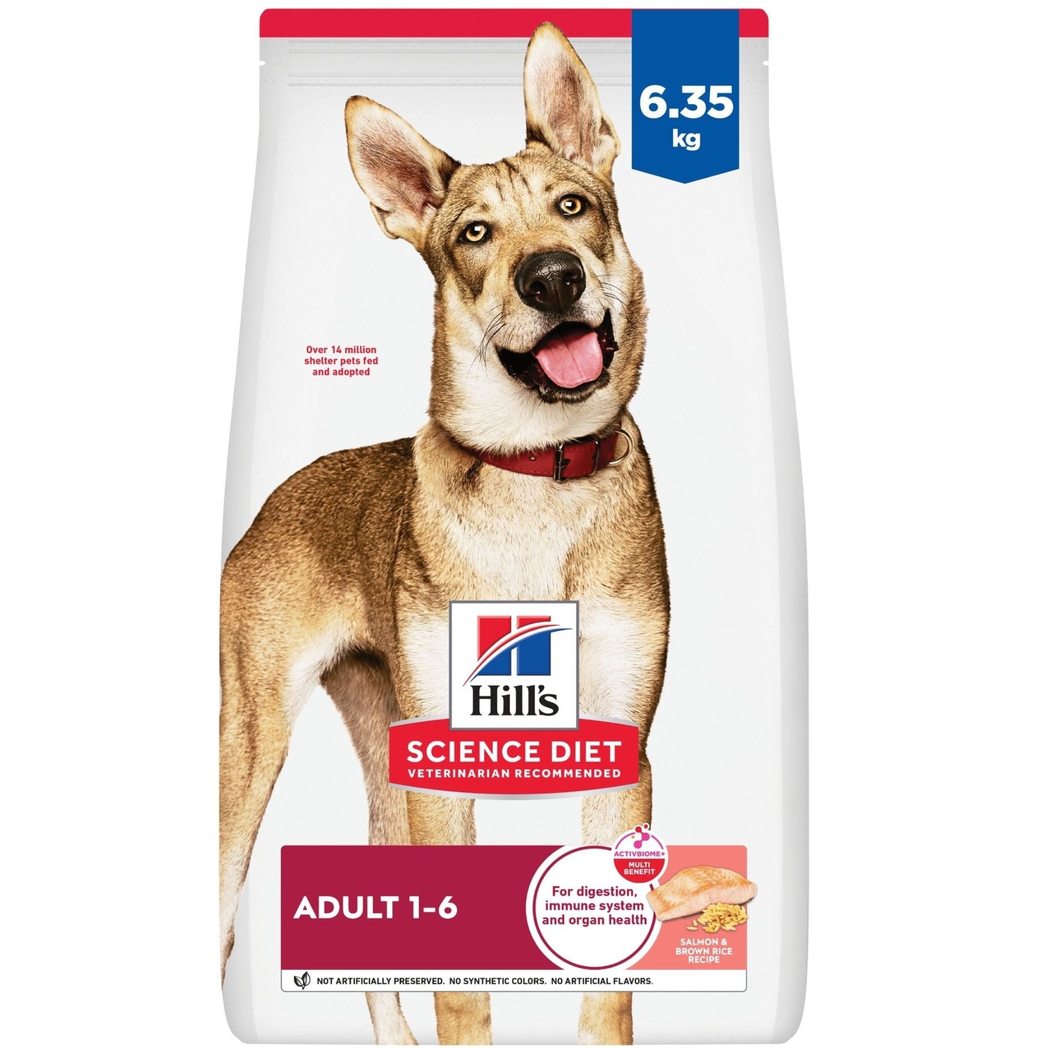 Hill's Science Diet Adult Salmon & Brown Rice Dry Dog Food