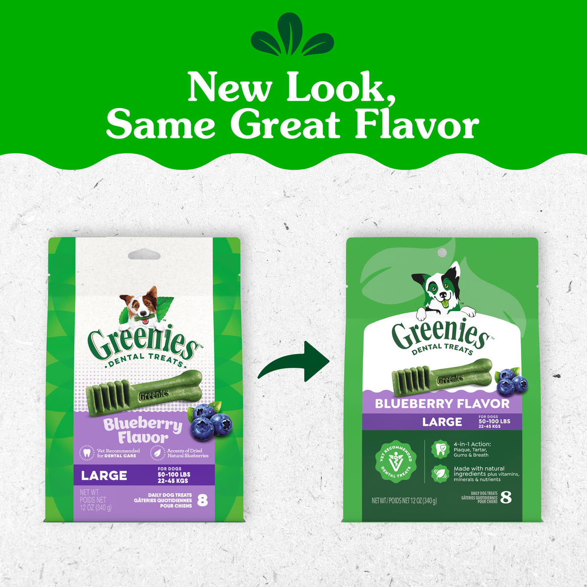 GREENIES packaging update: old and new Blueberry Flavour Large packs side by side