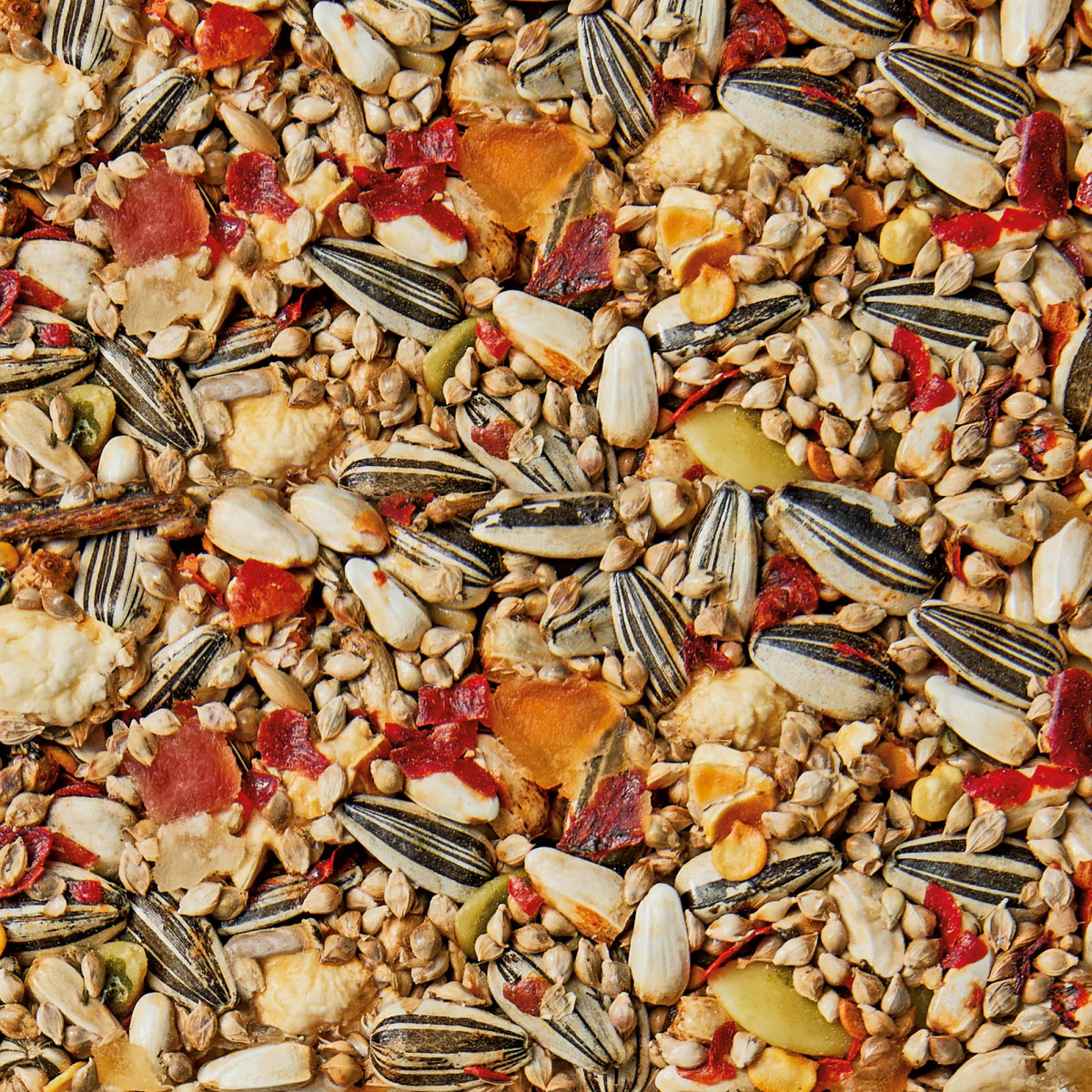 Whistler Cockatiel & Lovebird Health Bar - close-up of the sunflower, chilli and pawpaw blend