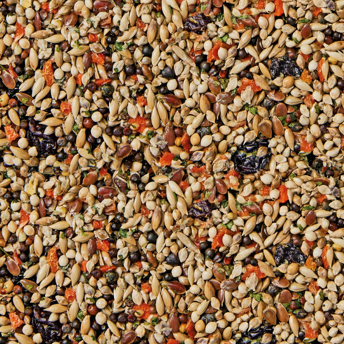 Whistler Budgie Health Bar - close-up of the seed, fruit and herb blend
