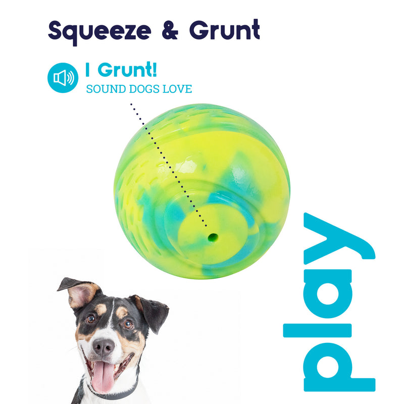 Petstages Grunt N Punt Tennis Ball Fetch Dog Toy