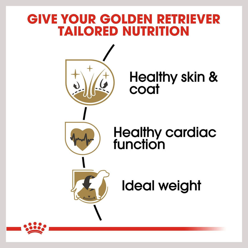 Royal Canin Golden Retriever