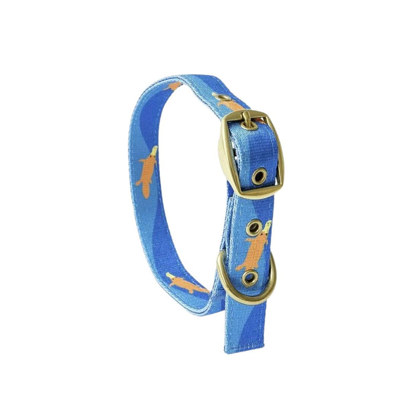 Anipal Piper The Platypus Recycled Dog Collar | PeekAPaw Pet Supplies