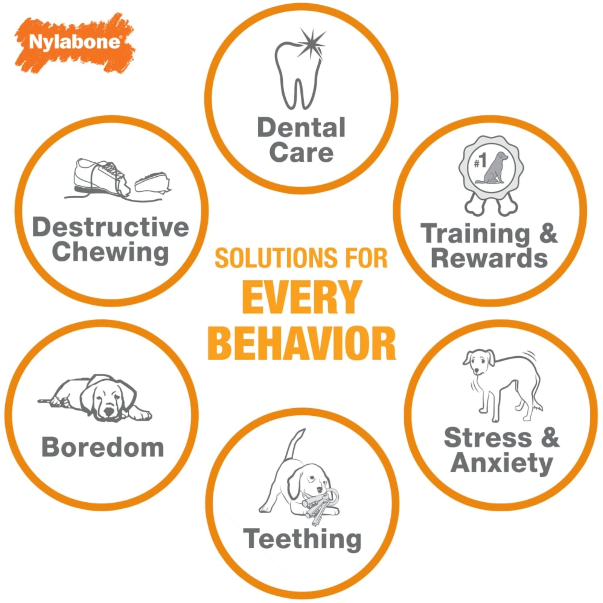 Nylabone Puppies Teething Chew Classic Bone