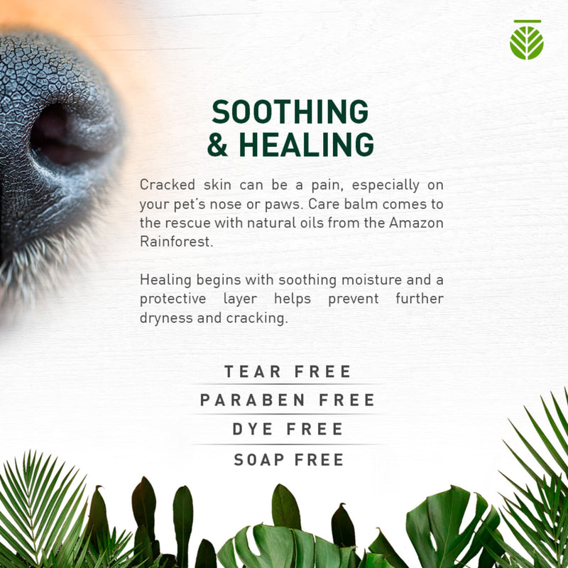 Amazonia Brazilian Carnauba Wax Balm For Paws And Nose For Dogs 30g | PeekAPaw Pet Supplies