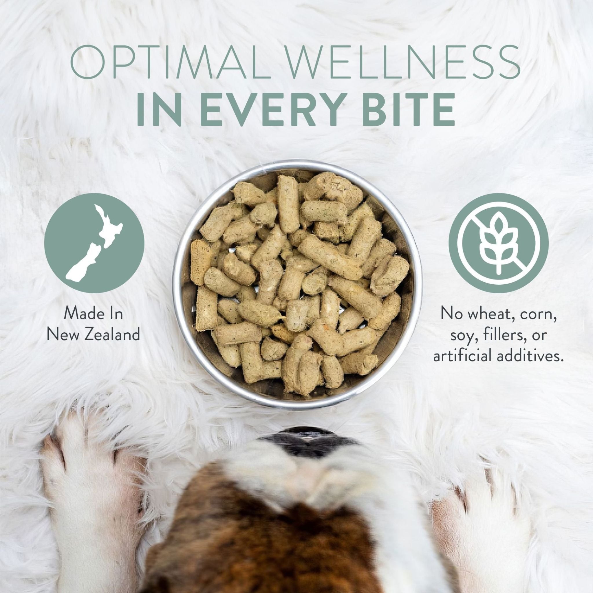 The New Zealand Natural Woof Freeze Dried Dog Food Chicken
