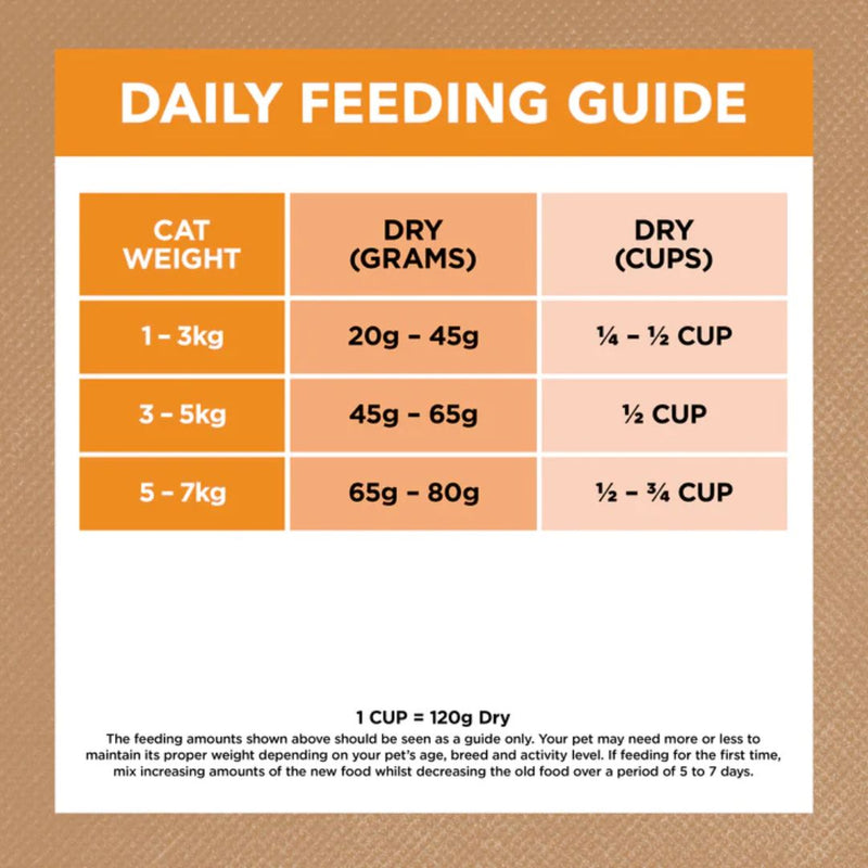 Ivory Coat Grain Free Adult Dry Cat Food Chicken | PeekAPaw Pet Supplies