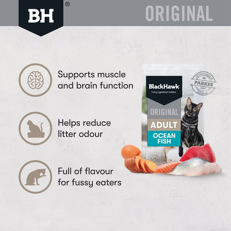 Black Hawk original Adult Dry Cat Food Ocean Fish | PeekAPaw Pet Supplies
