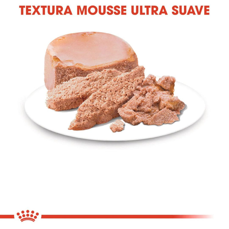 Royal Canin Mother and BabyCat Mousse | PeekAPaw Pet Supplies
