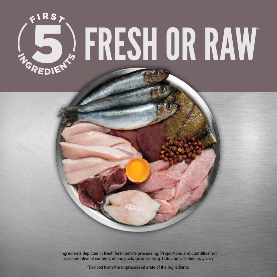 ORIJEN Biologically Appropriate Dry Dog Food Fit and Trim