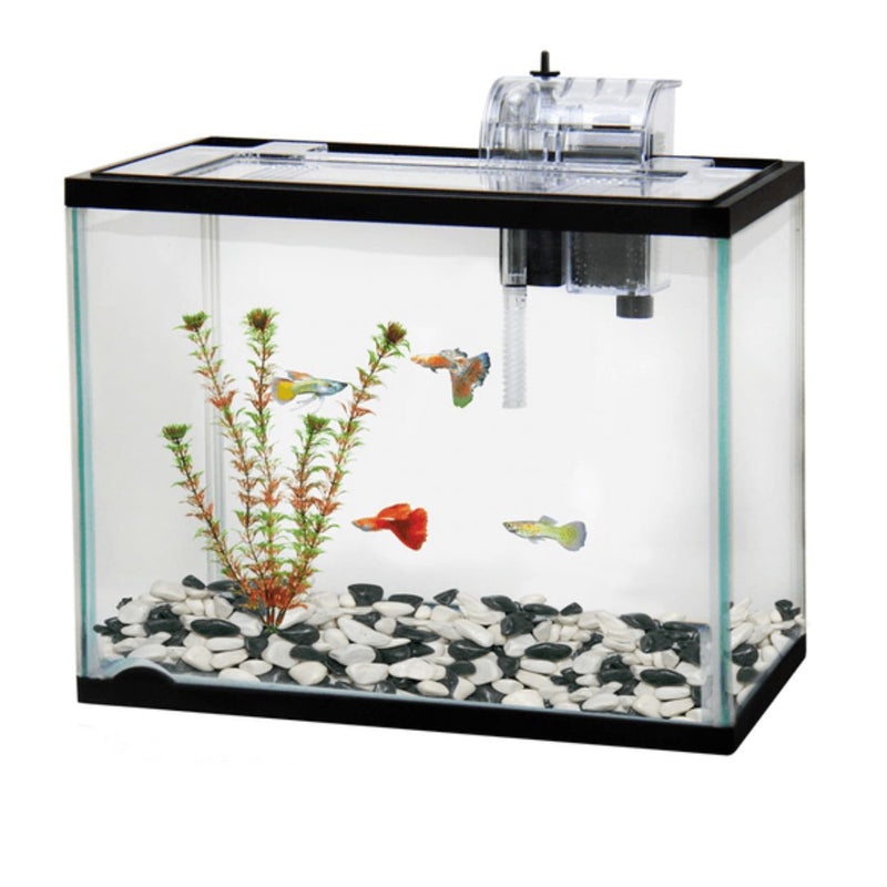 Classica Aquarium Starter Kit