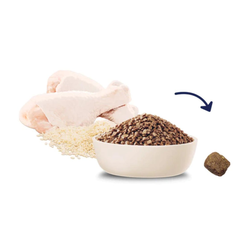 ADVANCE Kitten Dry Cat Food Chicken with Rice | PeekAPaw Pet Supplies