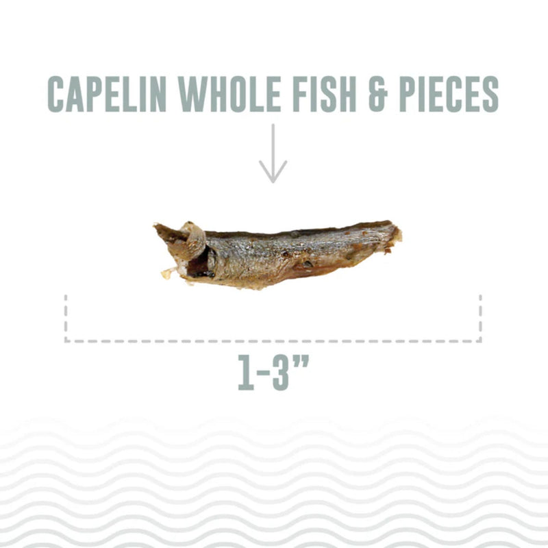 Icelandic+ Cat Treats Capelin Whole Fish