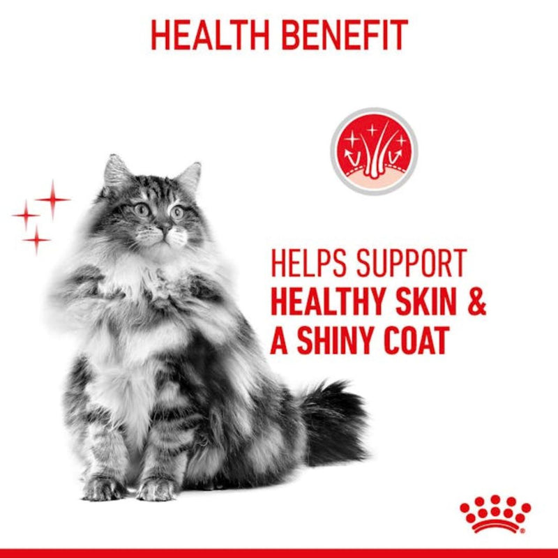 Royal Canin Hair & Skin Care Wet Cat Food in Loaf - 85g x12 | PeekAPaw Pet Supplies