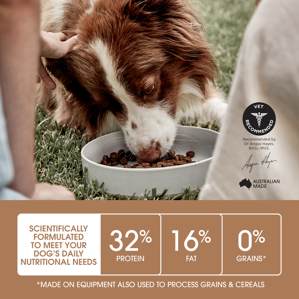 Spaniel eating Ivory Coat Grain Free Chicken Puppy, with 32 per cent protein and 16 per cent fat noted