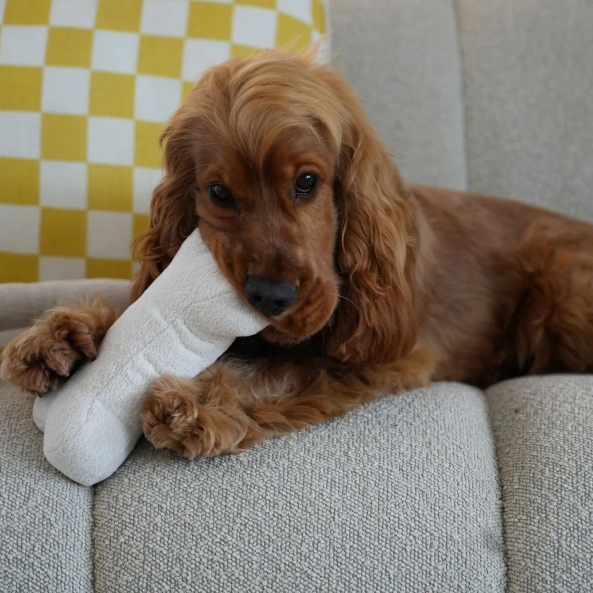 Lilly and Dash Bone Dog Toy