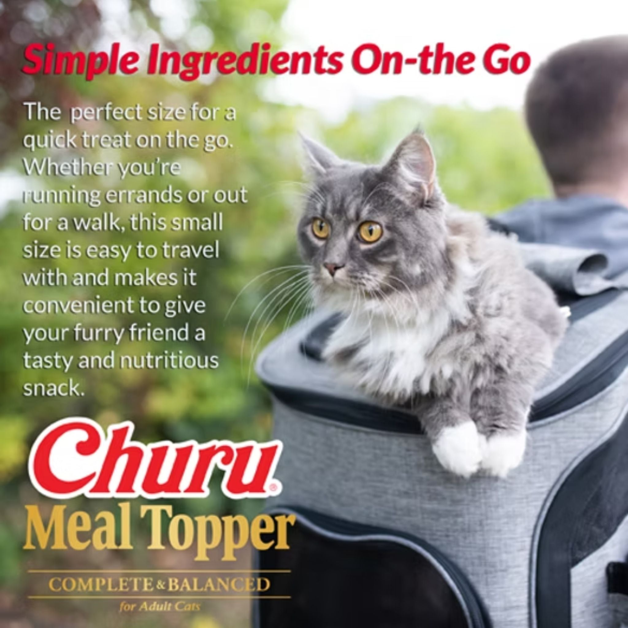 Inaba Cat Treat Churu Meal Topper Chicken