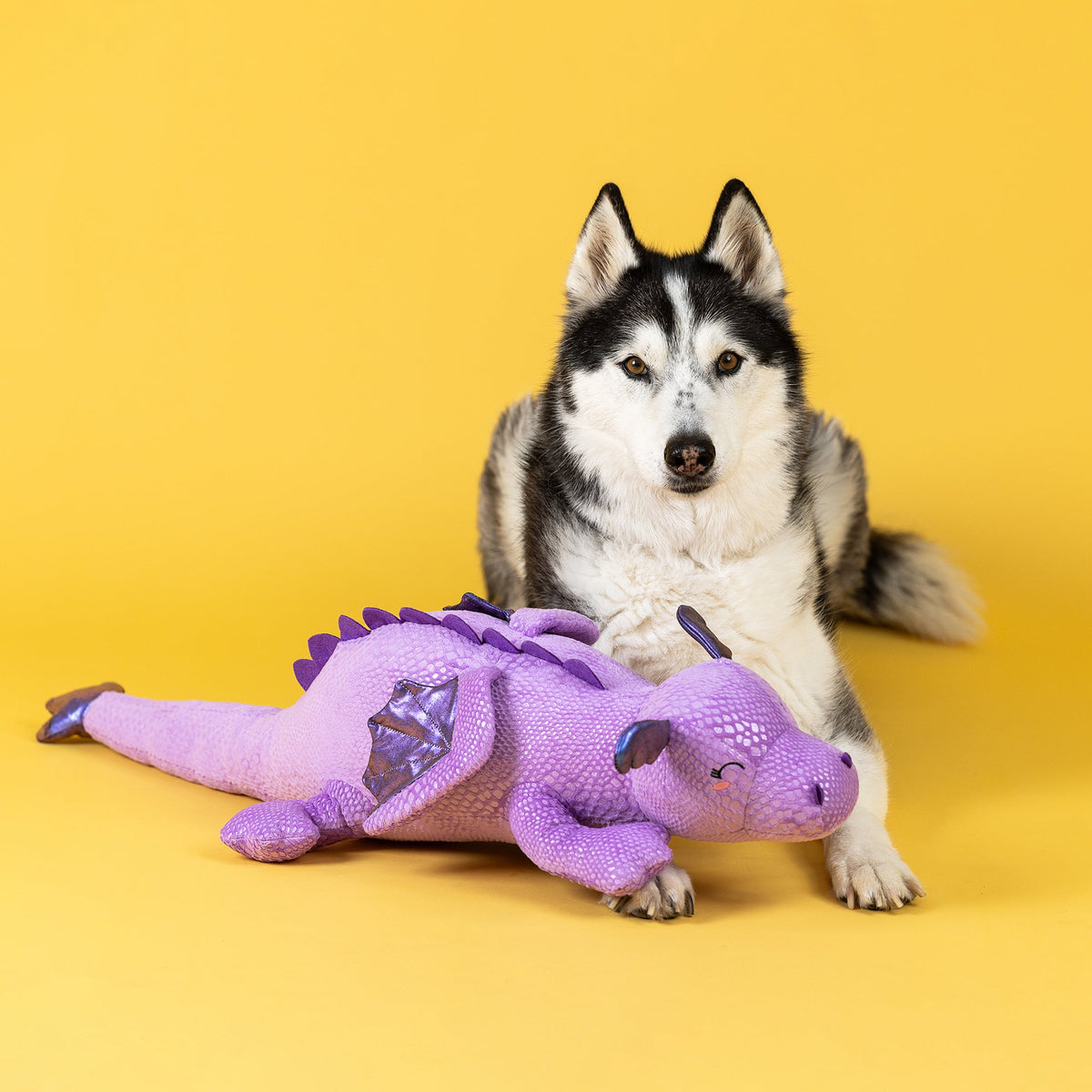 Fringe Studio Large Plush Dog Toy - My Muscle Mate for Life — lifestyle photo with dog