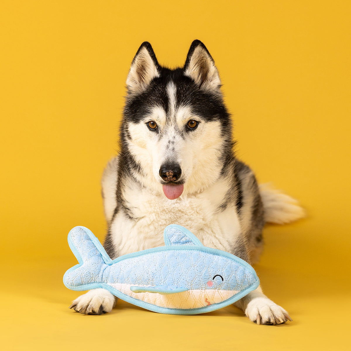 Fringe Studio Durable Dog Toy - Some Fin About You — lifestyle photo with dog