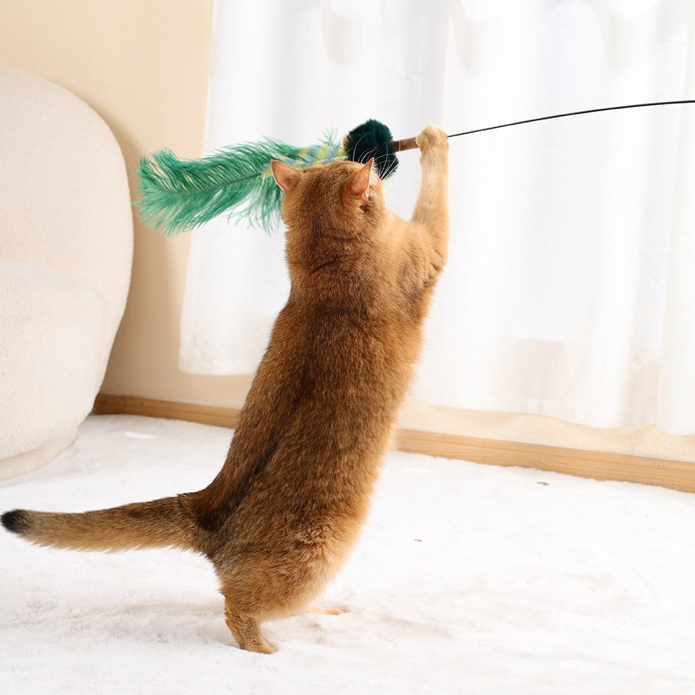 LUUKSUP Plume Tail Cat Teaser