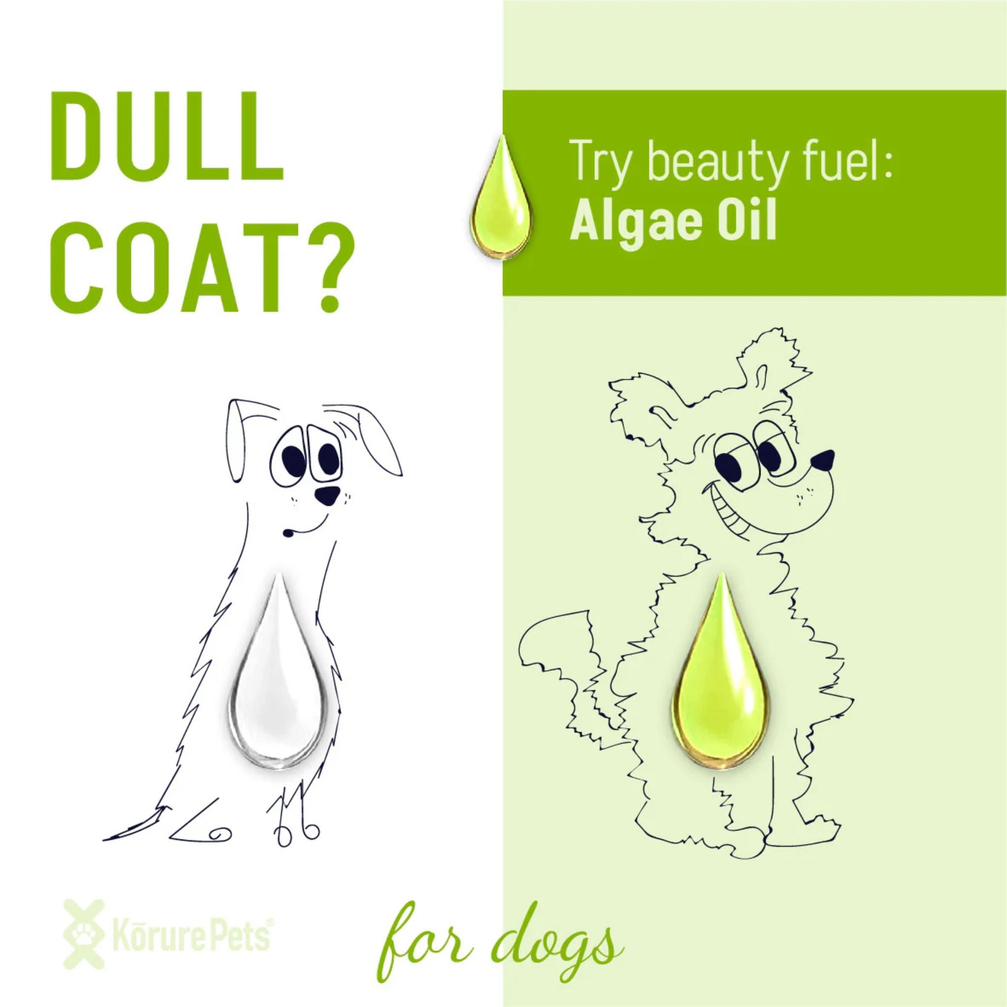 Korure Pets Algae Oil for Dogs