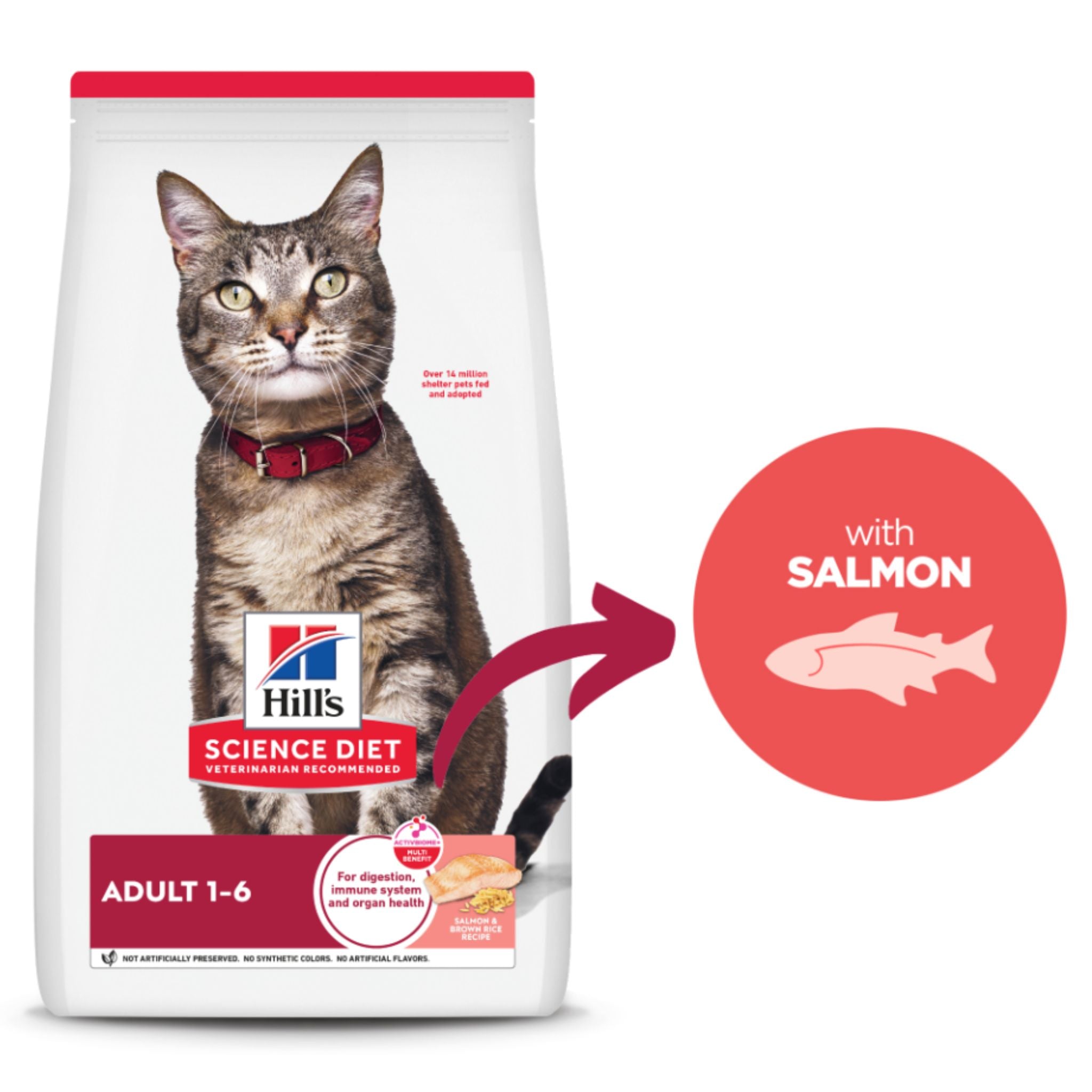 Hill's Science Diet Adult Salmon & Brown Rice Dry Cat Food