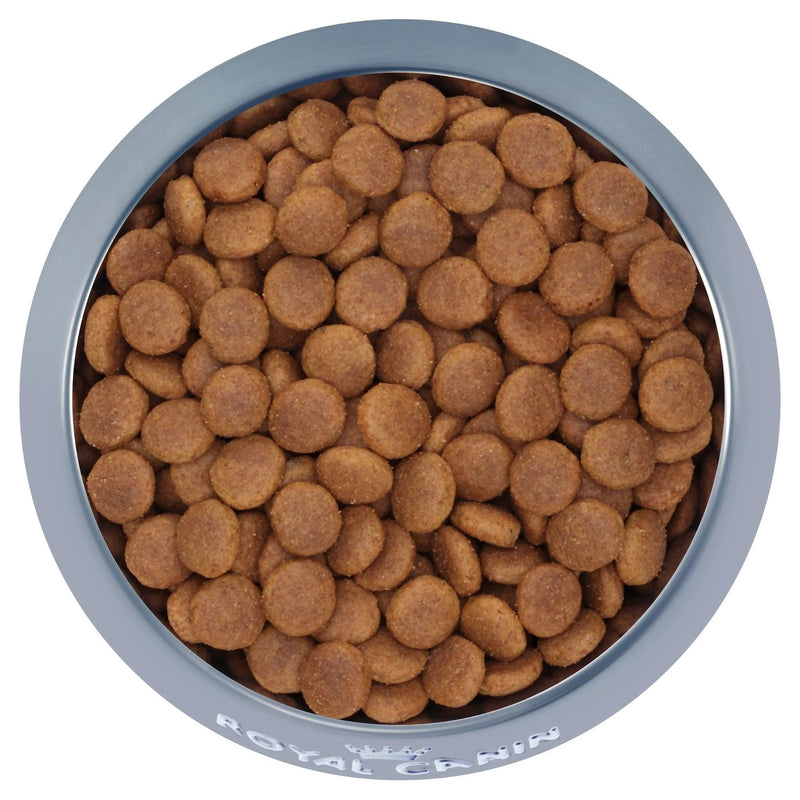Royal Canin Medium Adult