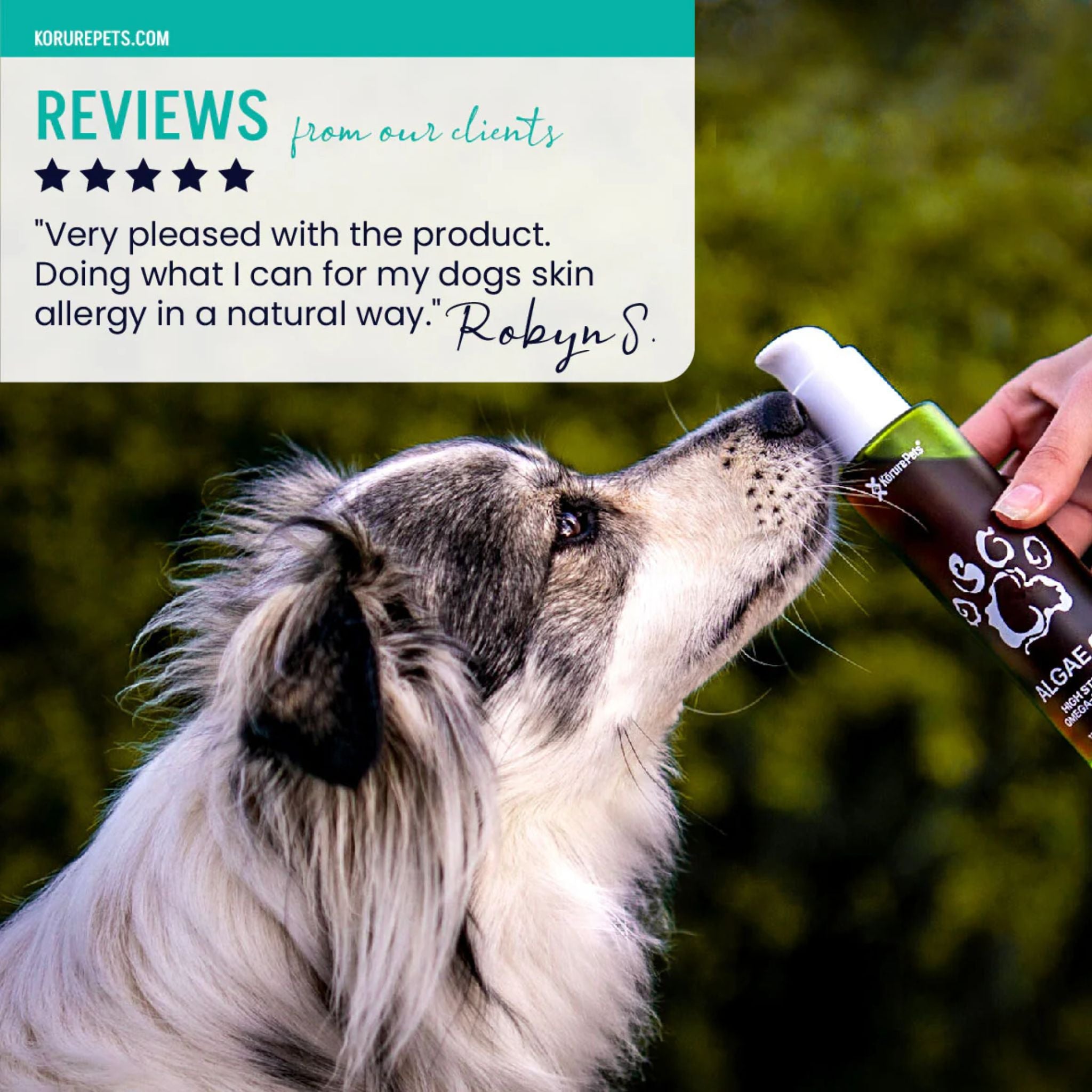 Korure Pets Algae Oil for Dogs
