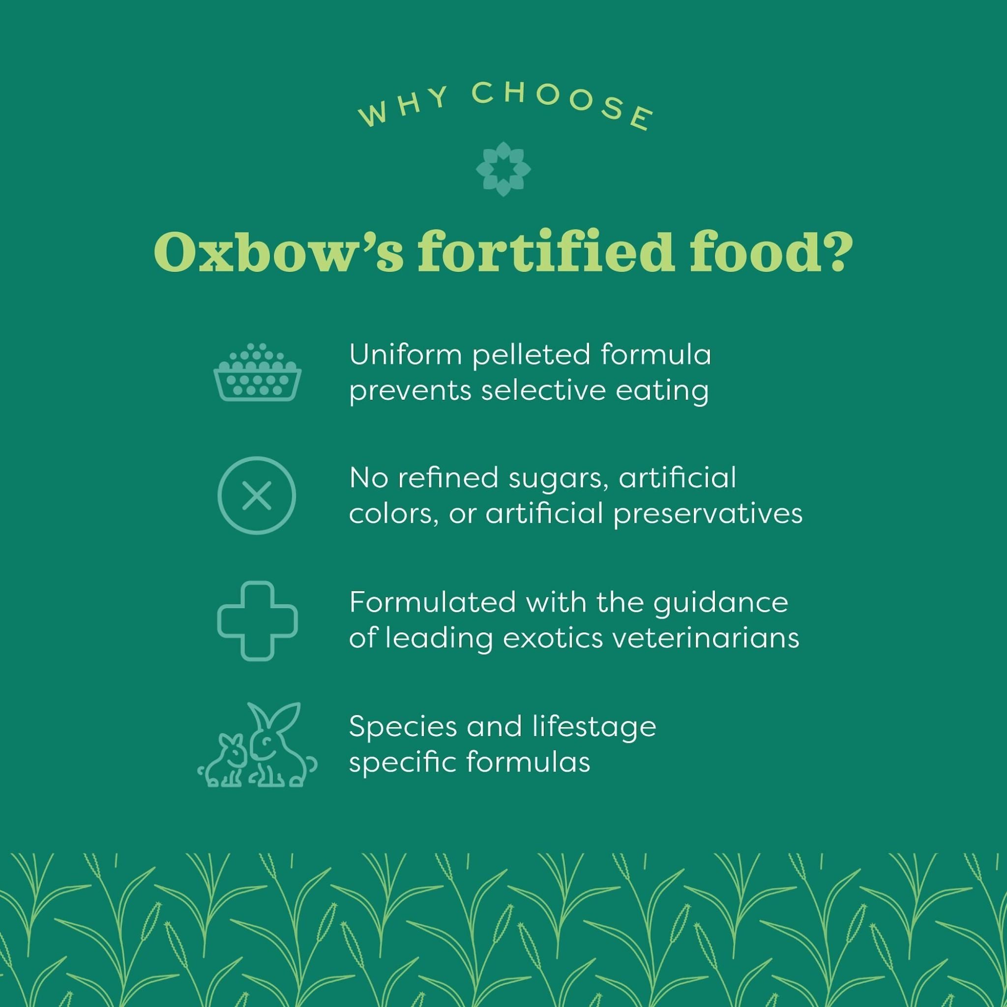 Oxbow Essentials Senior Rabbit Food