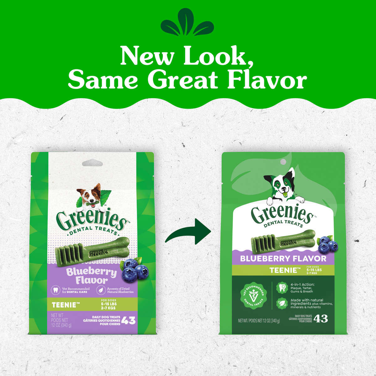 GREENIES packaging update: old and new Blueberry Flavour Teenie packs side by side