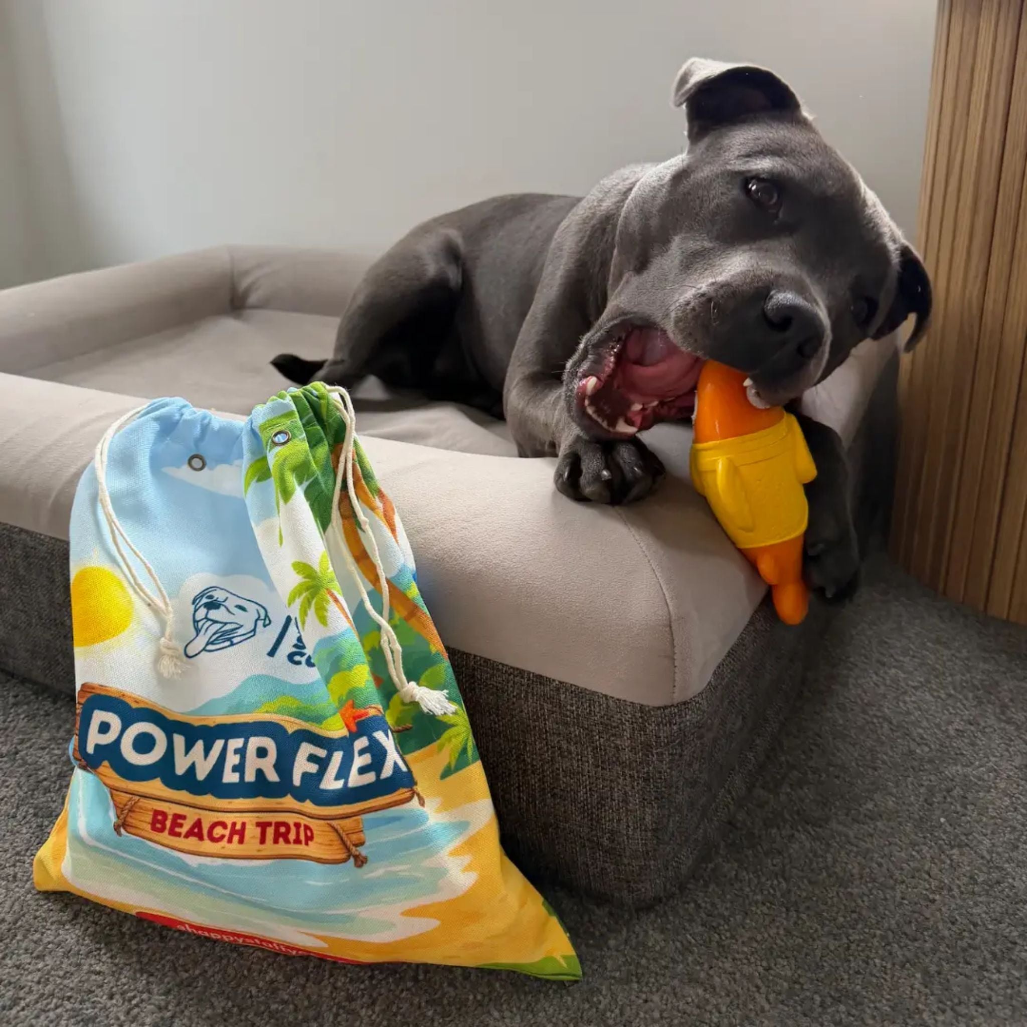 Happy Staffy Co Powerflex Beach Trip Dog Toy