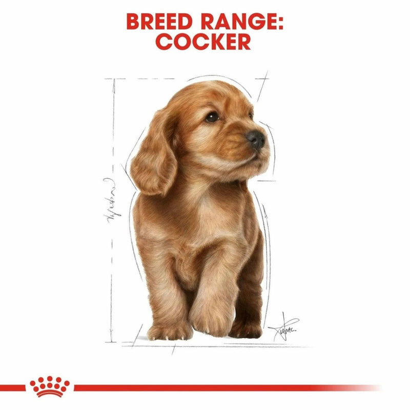 Royal Canin Cocker Spaniel Puppy