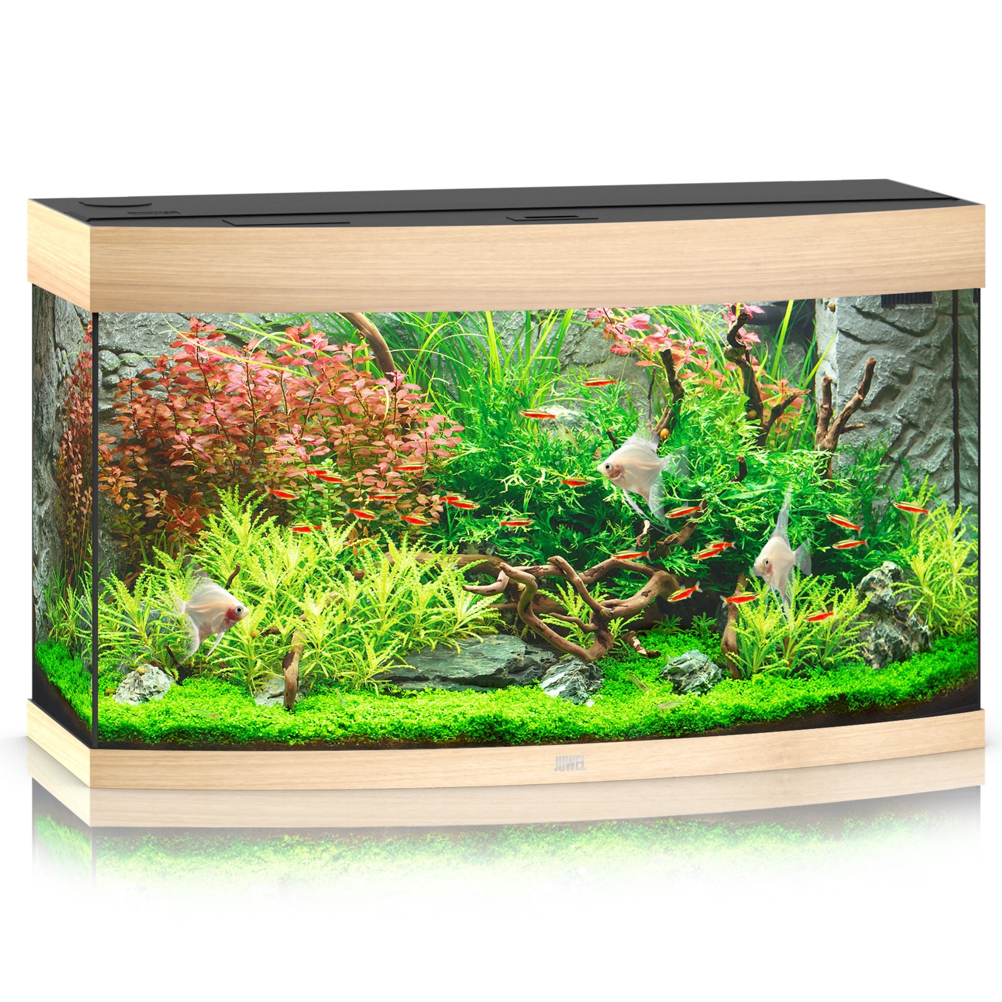 Juwel Vision LED Aquarium 180L