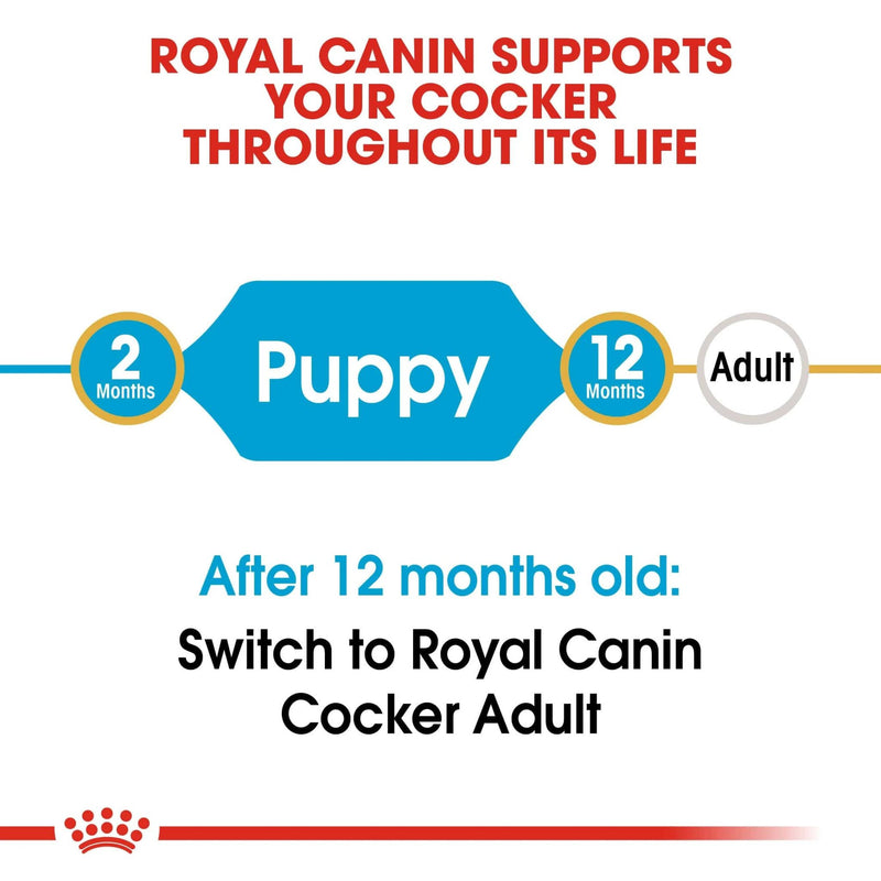 Royal Canin Cocker Spaniel Puppy