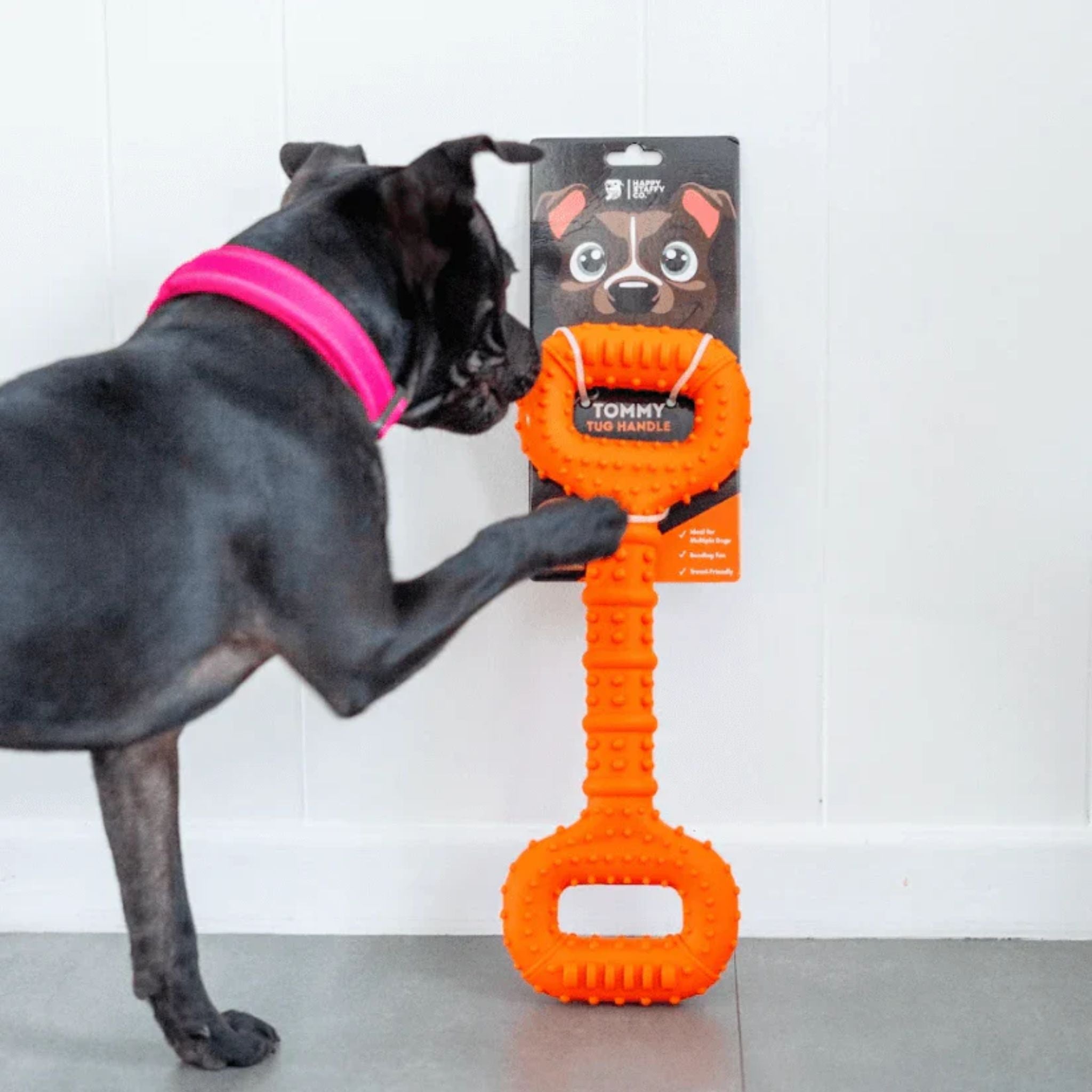 Happy Staffy Co Tommy Tug Handle Dog Toy