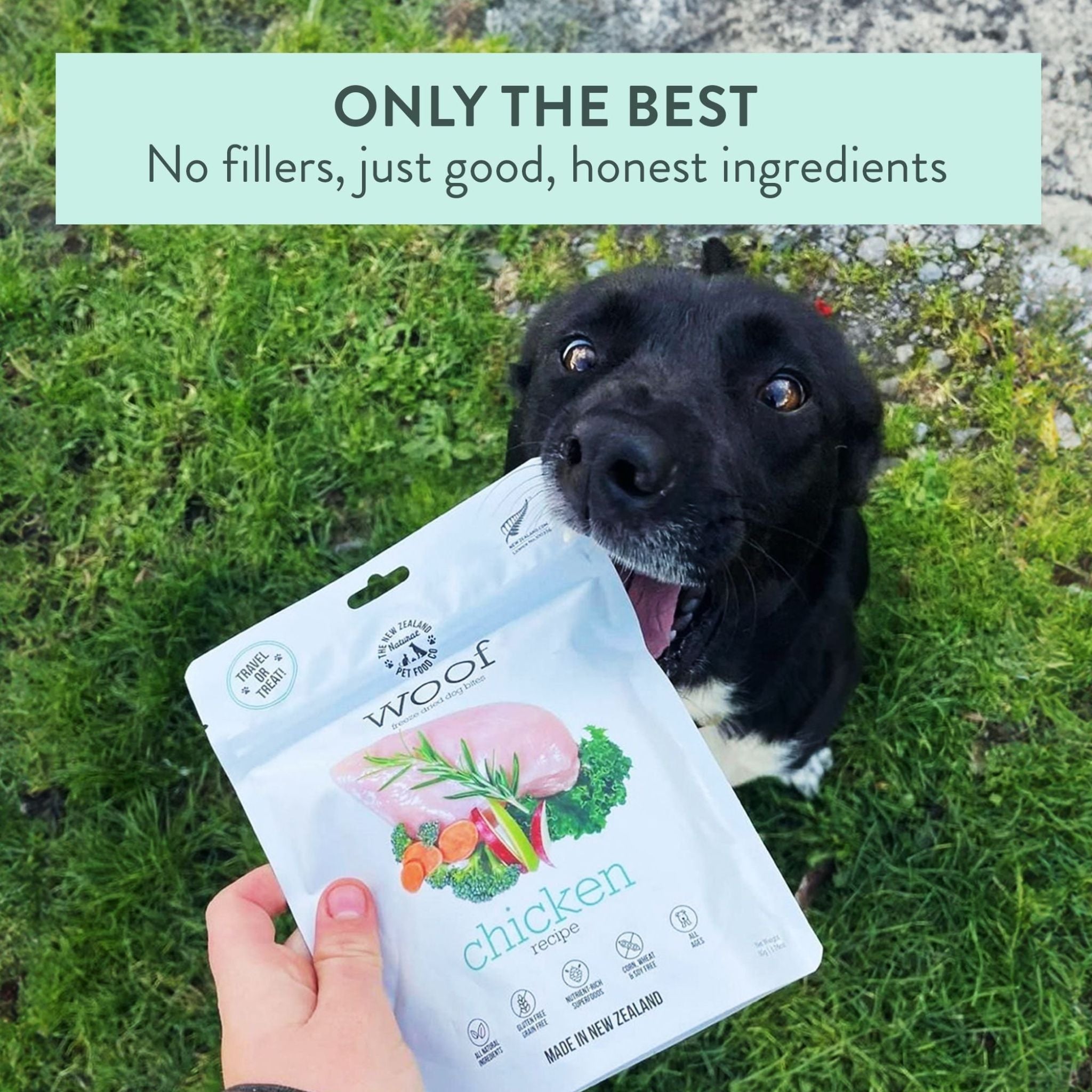 The New Zealand Natural Woof Freeze Dried Dog Food Chicken