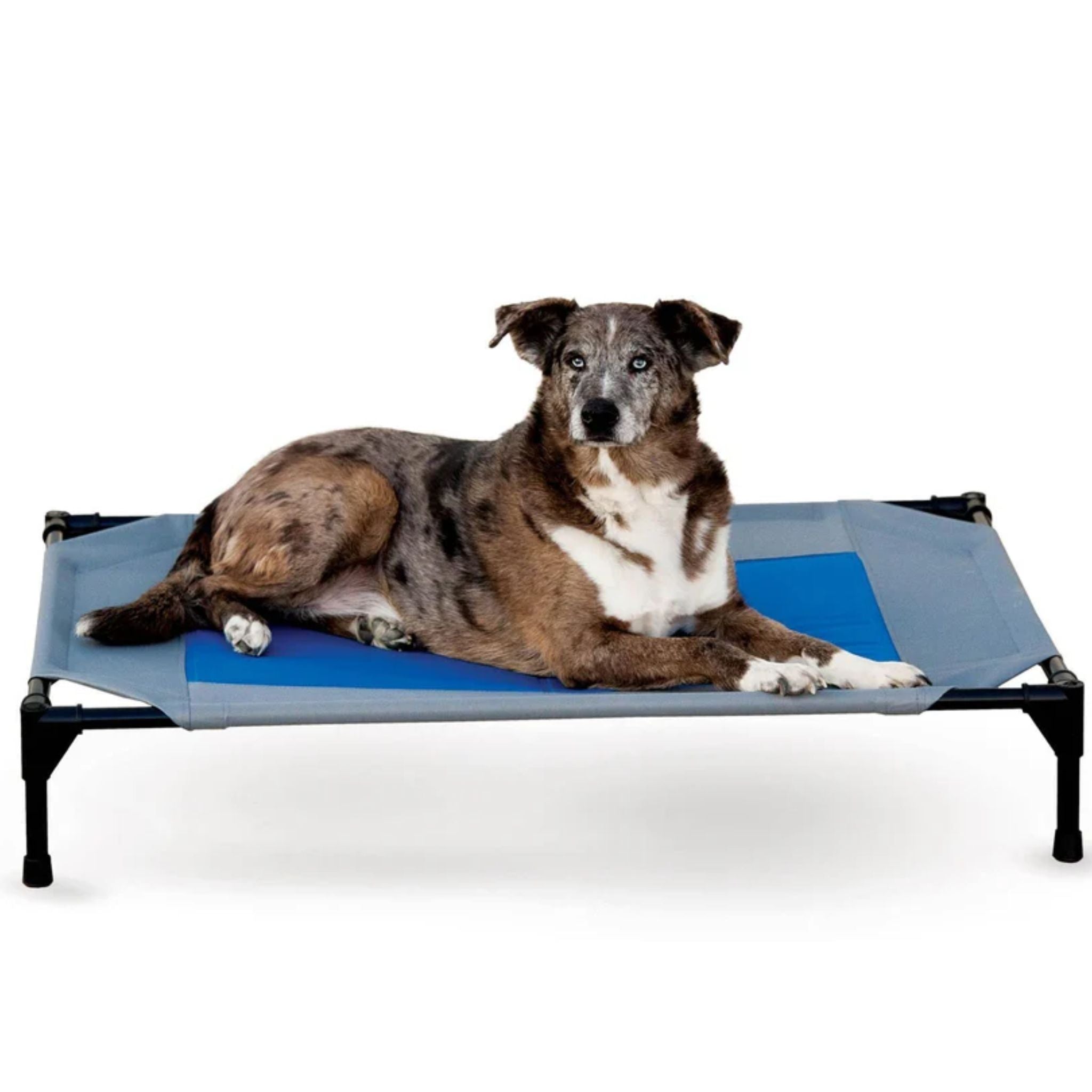 K&H Coolin' Pet Cot - 105x75cm | PeekAPaw Pet Supplies