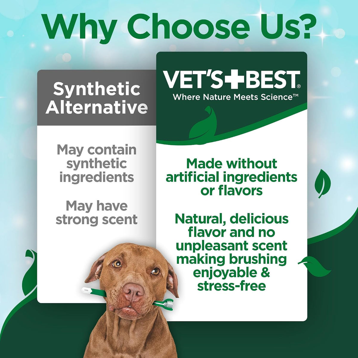 Vet's Best Enzymatic Dog Toothpaste tube with the carton, showing the natural flavour and no-rinse claims