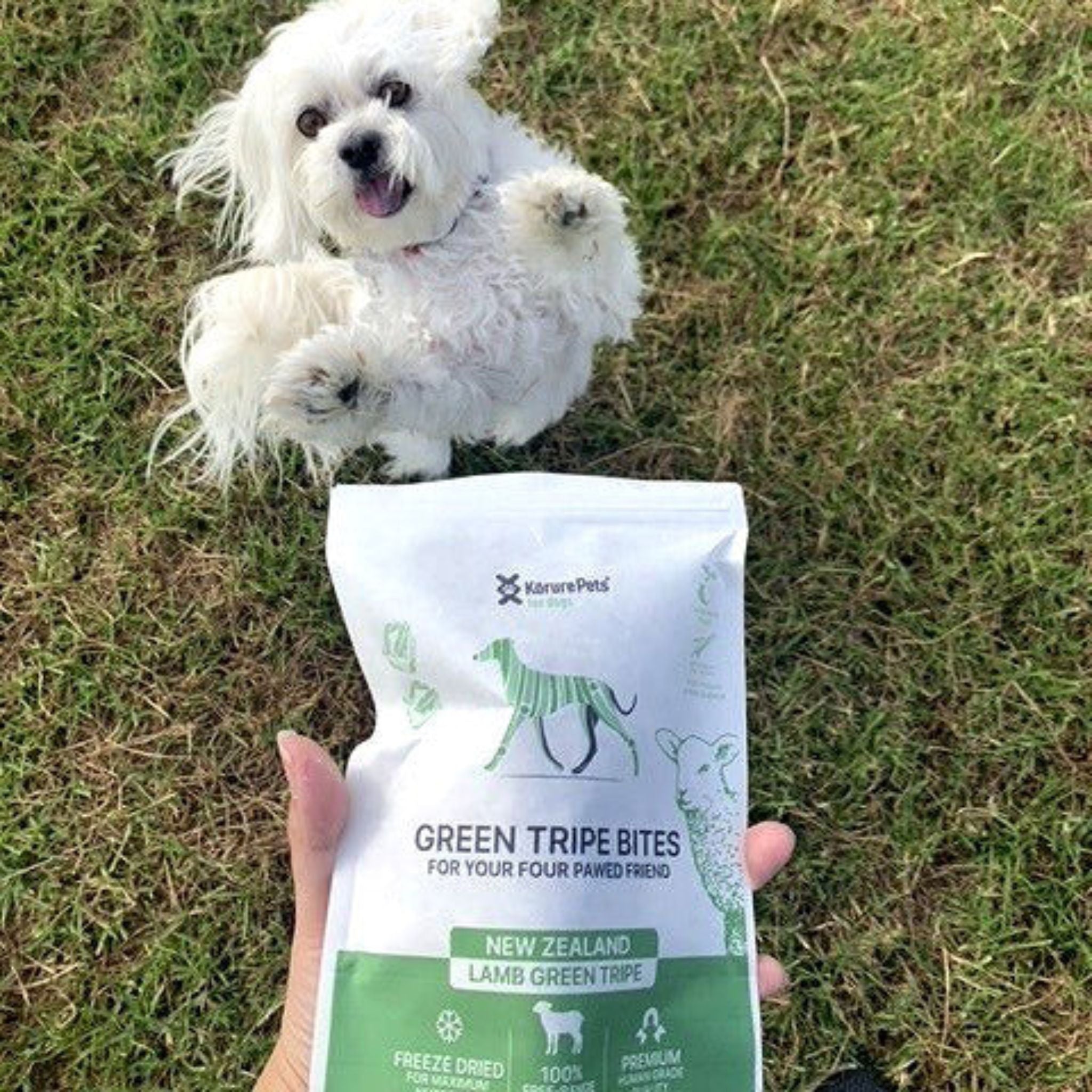 Korure Pets Lamb Green Tripe Topper Dog Treats