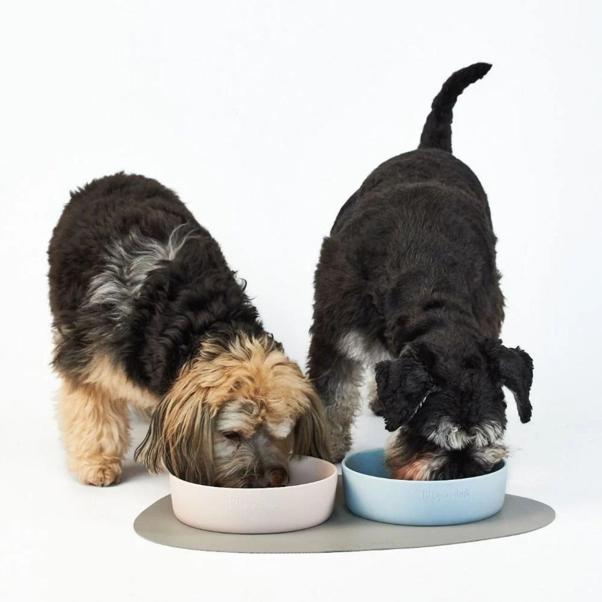 Lilly and Dash Asymmetric Placemats
