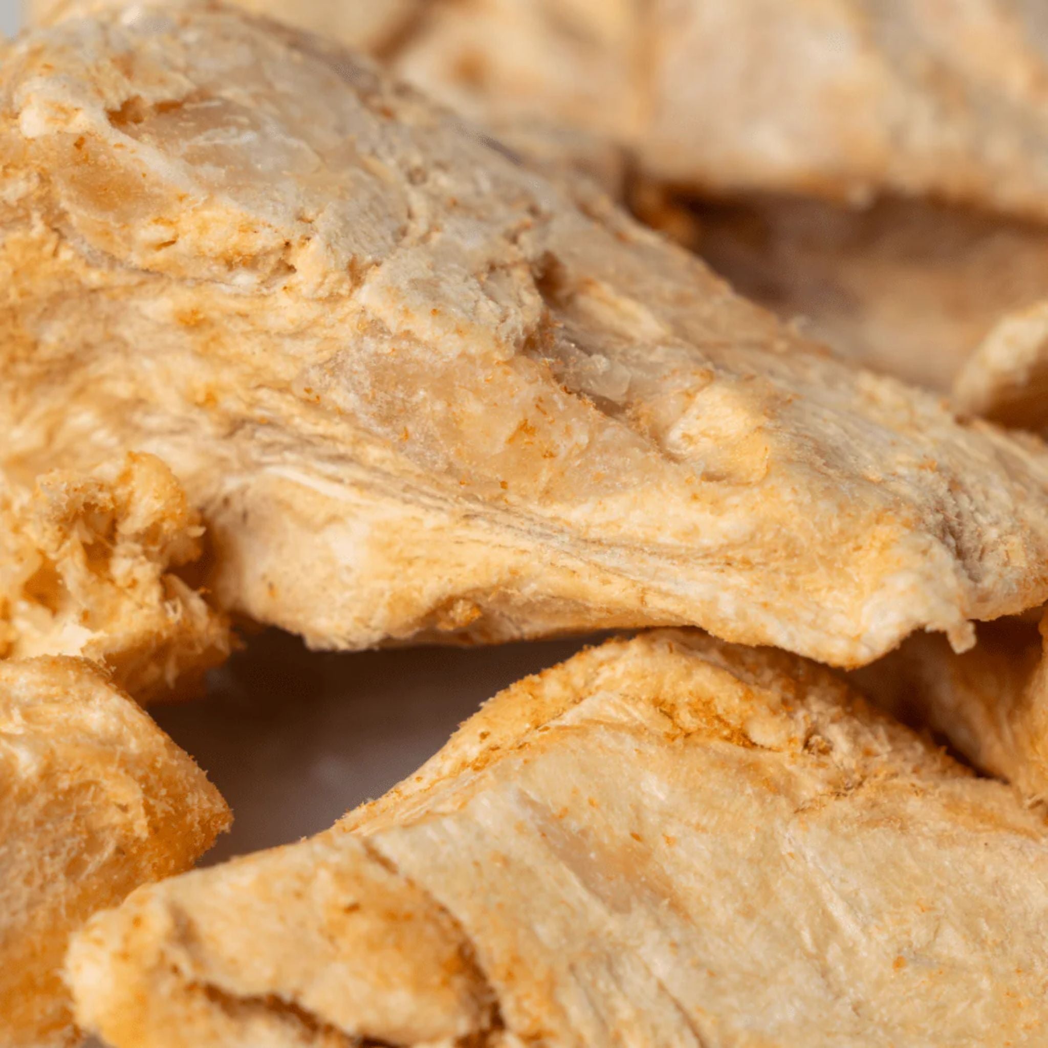 FuReeze Crocodile Freeze Dried Pet Treats