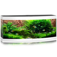 Juwel Vision 450L curved-front LED aquarium planted, on a white base cabinet